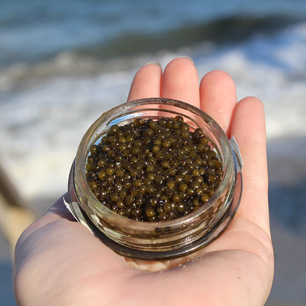 How to Grade Caviar