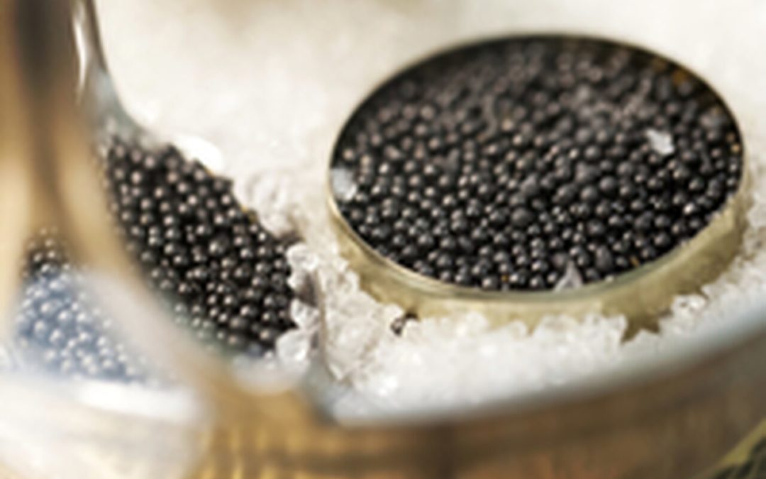 ​Why Is Beluga Caviar Restricted