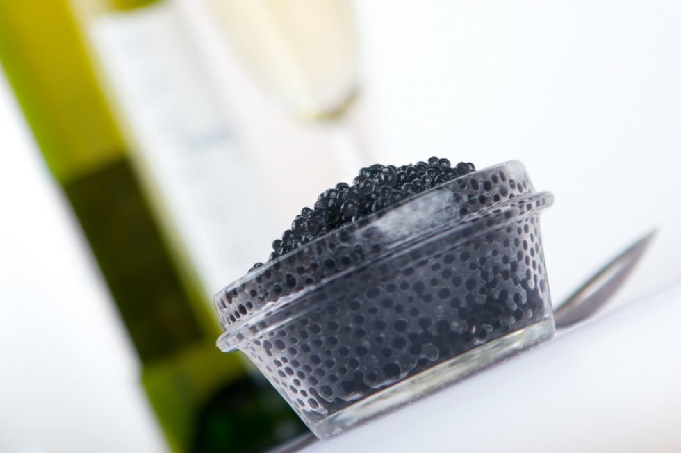 Best Caviar Wine and Champagne Pairings House of Caviar and Fine Foods
