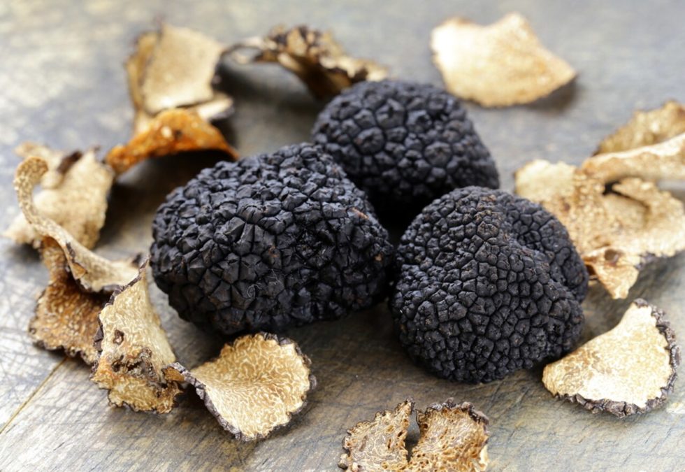 Buying Truffles Online House of Caviar and Fine Foods