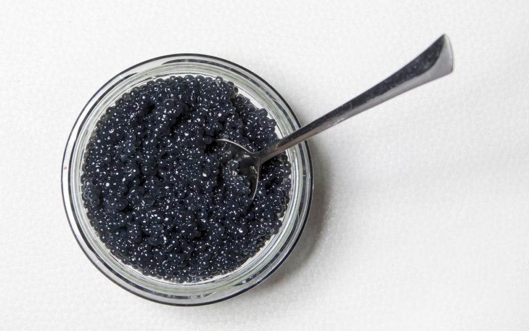 ​Osetra vs Beluga Caviar