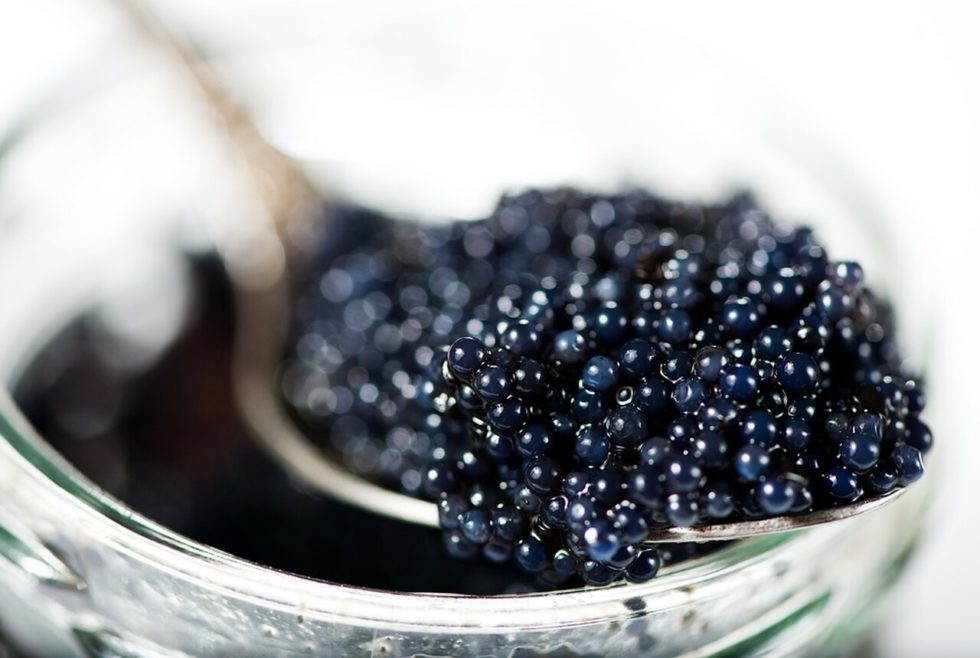 Russian Ossetra Caviar House of Caviar and Fine Foods