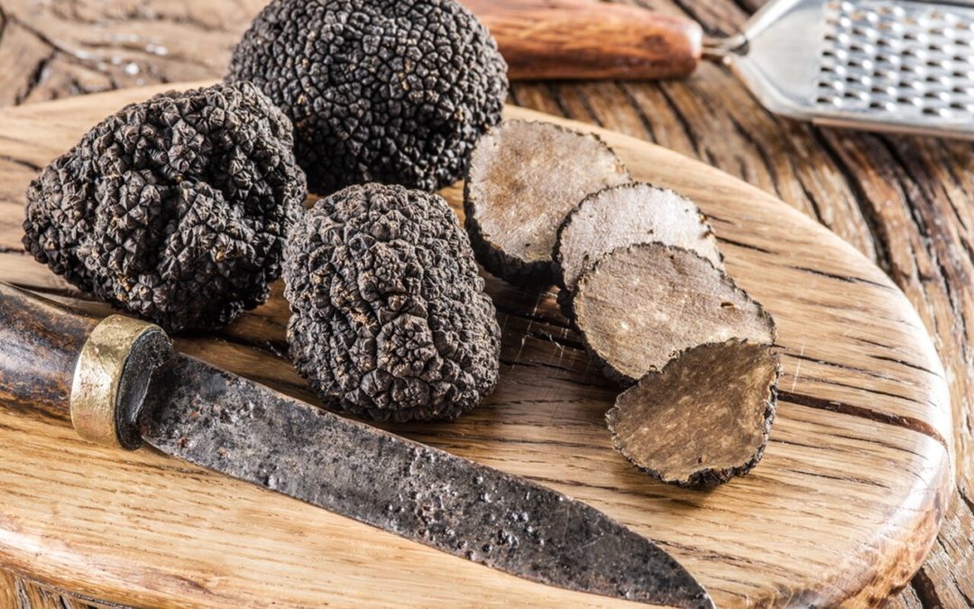 ​Types of Truffle Mushrooms