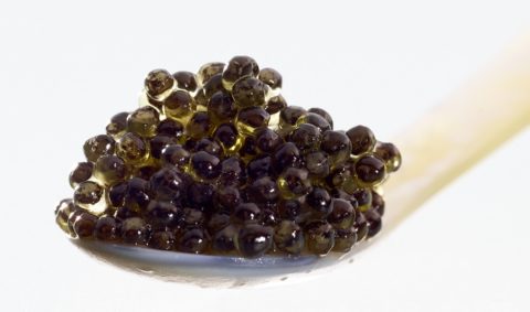 What does caviar taste like?