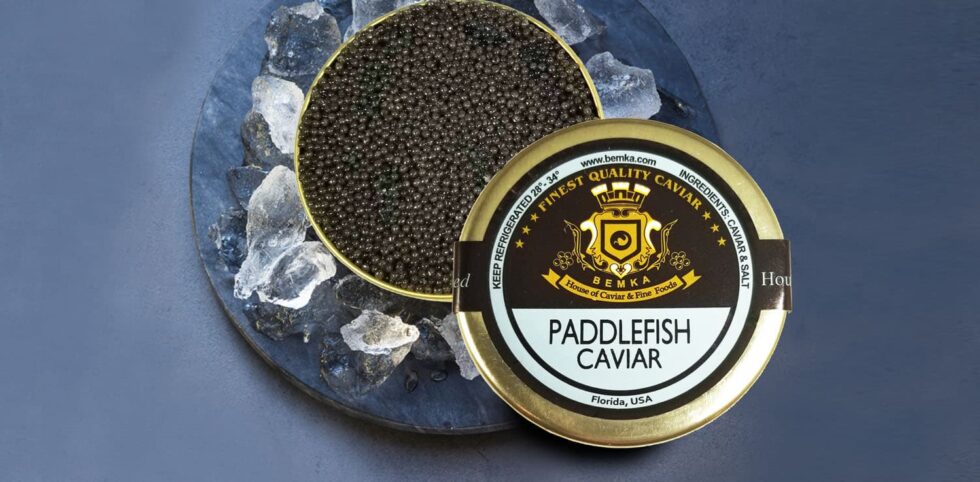 Producing American Paddlefish Caviar
