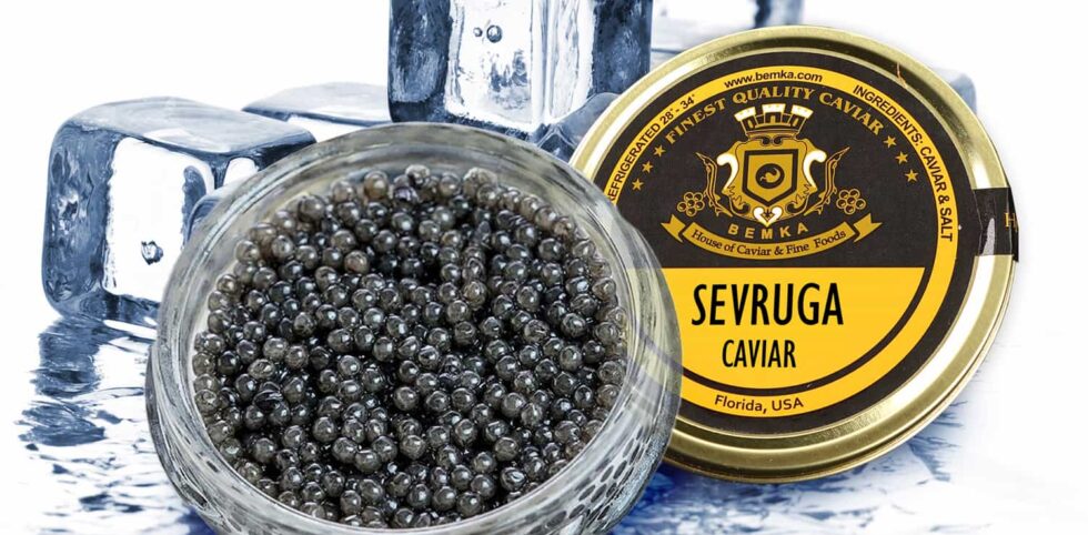All About Sevruga Caviar: The best option to try fine food.
