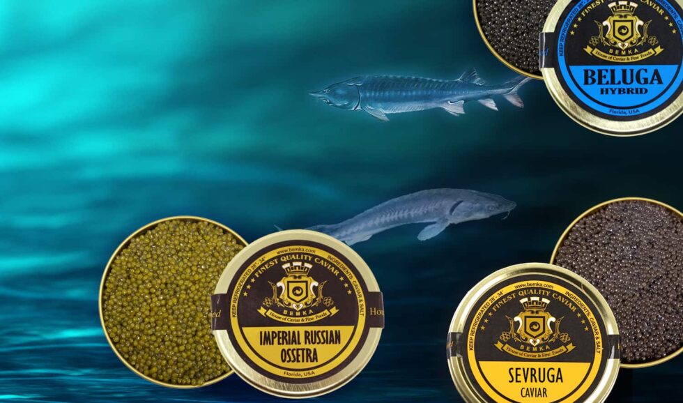 What is Fish roe and what is the difference with Caviar?