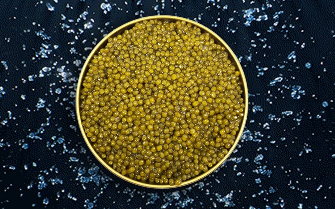 Imported Caviar: All about this delicacy