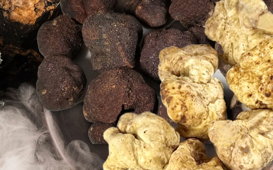 The ultimate Guide of Truffles