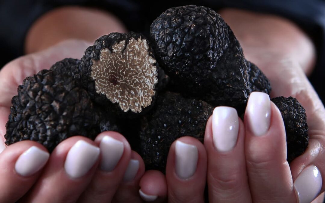 A Beginner’s Guide to Black Truffles