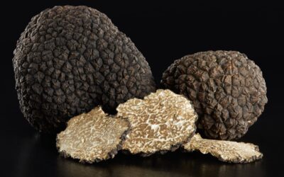 All about Burgundy Truffles: Fresh truffles to buy