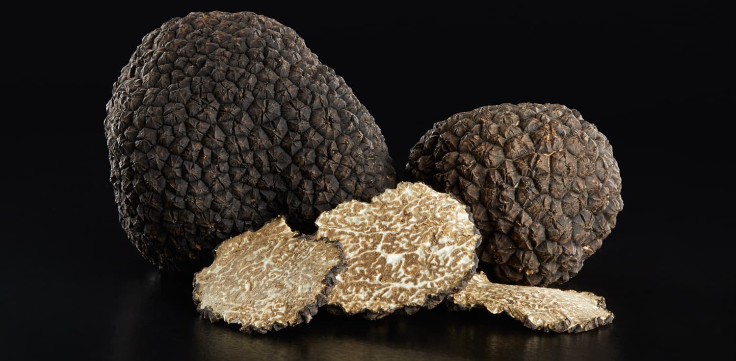 All about Burgundy Truffles Fresh truffles to buy. Enjoy our best